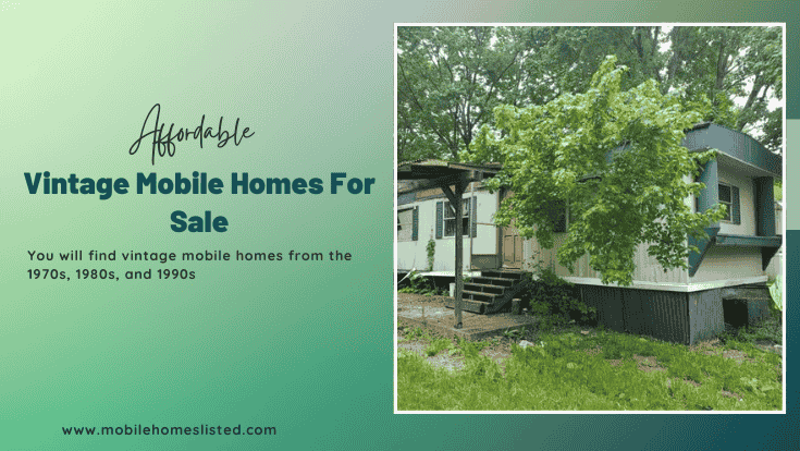 vintage mobile homes sale